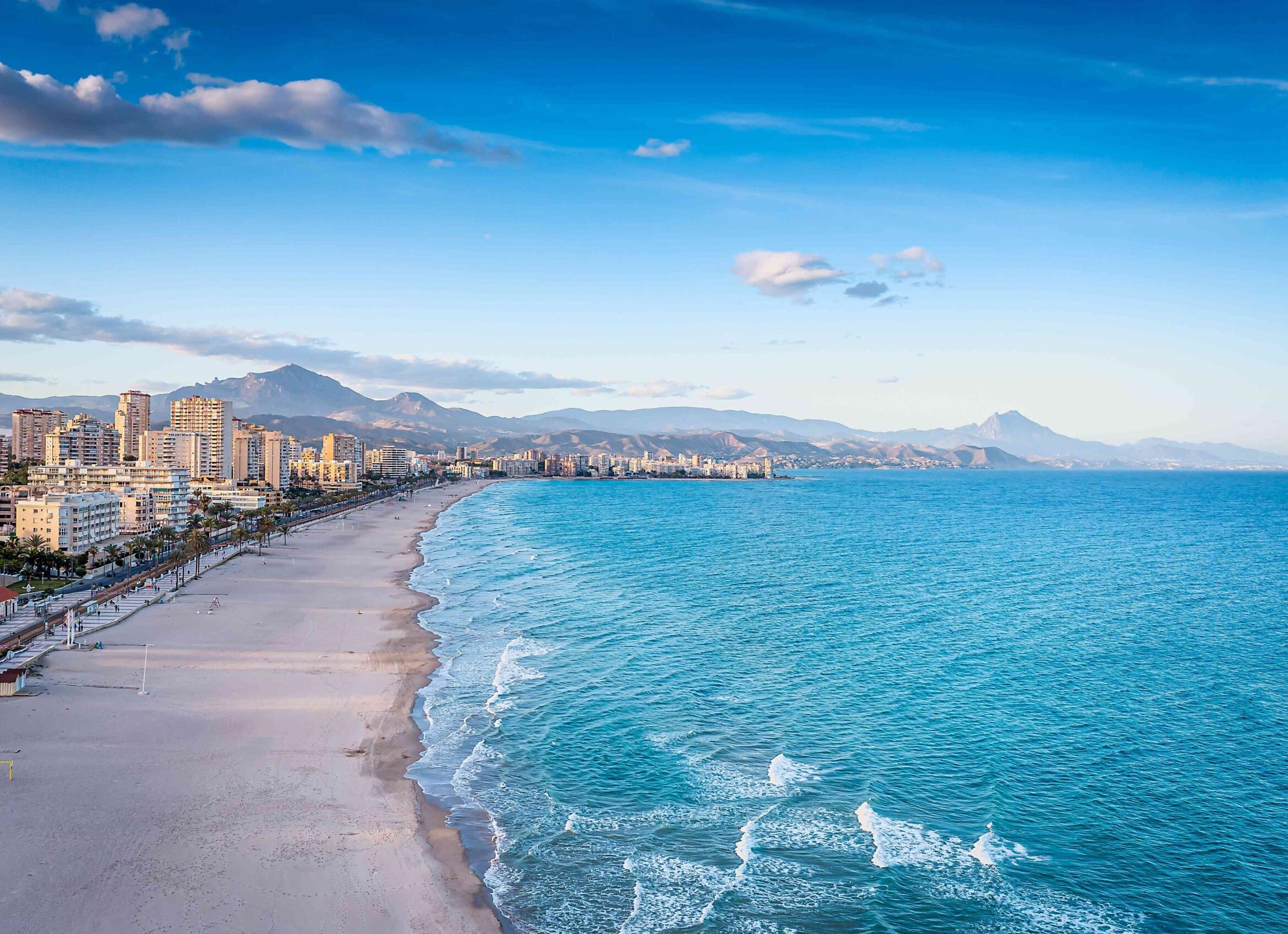 «Отказывается идти на контакт» — заводчик забрал кота обратно и не вернул деньги